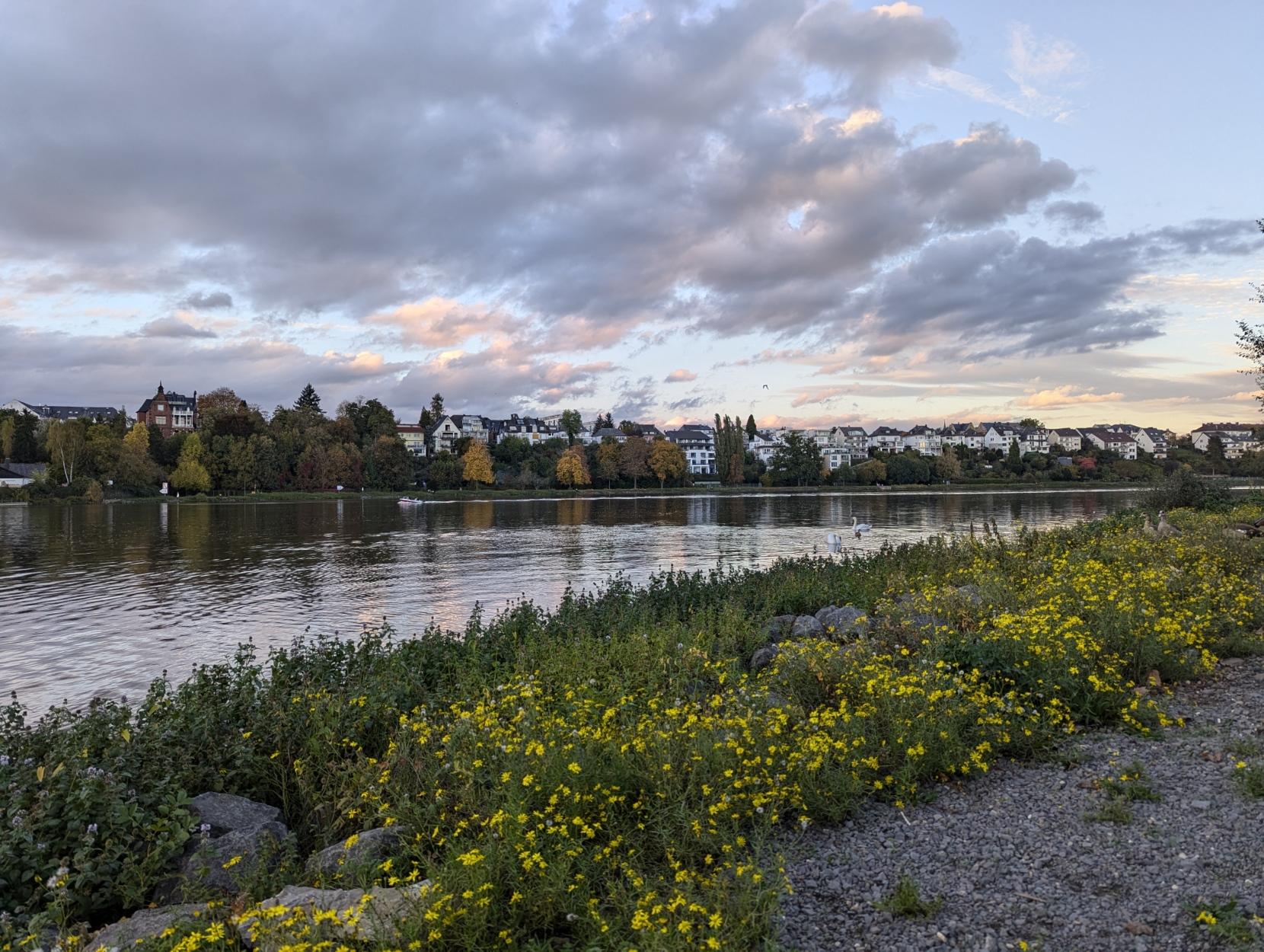 The River Moselle